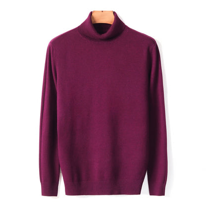 Men's Comfortable Solid Colour Knitted Turtleneck Swaeter | Ideal for Autumn/Winter